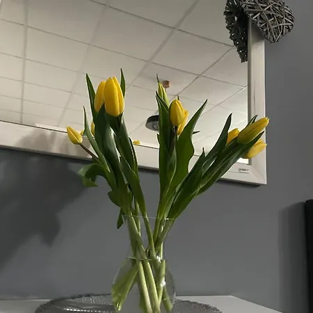 Smokovcek Lejlighed Vysoké Tatry