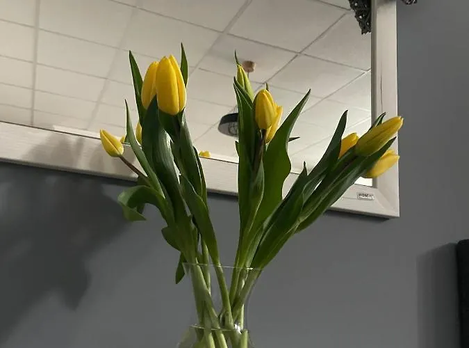 Smokovcek 公寓 Vysoké Tatry